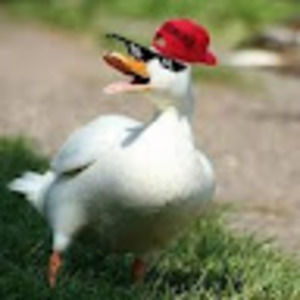 Meet your Posher, Josue